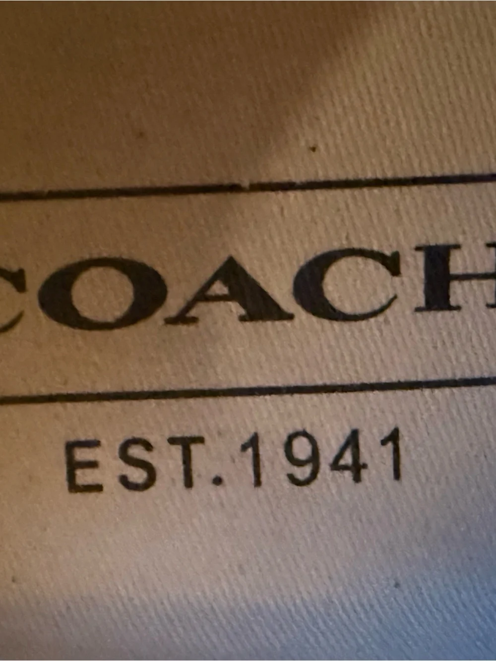 Coach Beige Logo Canvas Close-Up